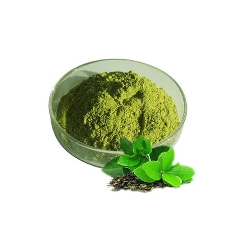 Expérience approfondie dans la fabrication Poudre d'extrait de plantes de thé vert de qualité alimentaire de couleur jaune brun pur de qualité supérieure
