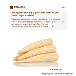 MAÍZ BEBÉ EN CONSERTA PREMIUM DE VIETNAMT Servicio OEM - Product Image 6