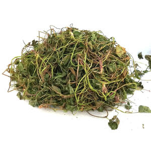 ใบแห้งโกตูโกลาเกรดพรีเมี่ยมใบแห้งใบบัวบก - Product Image 4