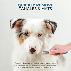 หวีโลหะแบบเรียบง่ายสำหรับสุนัขและแมว ขนยาว ใบมีดเหล็กนิรภัย 2.5 นิ้ว บรรจุกล่อง สำหรับแก้ผมพันกันและขนพันกัน - Product Image 5