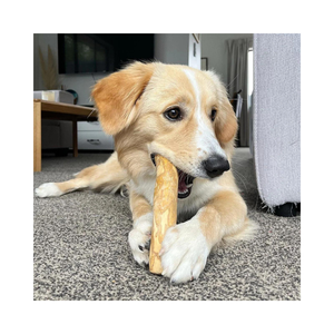 Chien en bois de café fait à la main naturel et dur pour chiens de toutes tailles - Product Image 1