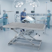 Table chirurgicale vétérinaire électrique mini et grande, en acier inoxydable, hauteur réglable, filtre détachable, commande manuelle, pour clinique vétérinaire