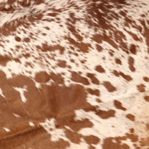 Alfombra para sala de estar decoración occidental alfombra de lujo piel de vaca karpet alfombra de piel de vaca natural - Product Image 3