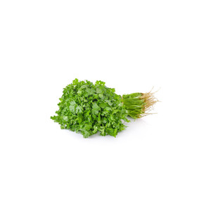 Semillas de cilantro orgánicas naturales de exportación, precio al por mayor, especias, hierbas, semillas de cilantro de grado alimenticio a granel - Product Image 3