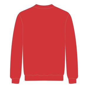 HBCU educato rosso brillante maniche Raglan felpa ciniglia ricamo confraternita greca Divine nove maglione personalizzato collegiato - Product Image 3