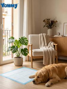 Tappetini Assorbenti Biodegradabili Yommy per Addestramento Animali Domestici, Ultra Assorbenti, Antibatterici, a 5 Strati, Impermeabili - Product Image 1