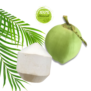 Le rôle de la noix de coco pelée de diamant dans la réduction des effets du décalage horaire - Product Image 1