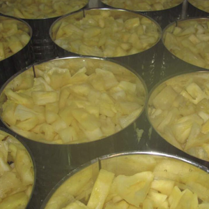 Piña enlatada de Vietnam de alta calidad en almíbar, material de fruta tropical fresca, Ideal para postres, jugos y uso en panadería - Product Image 1
