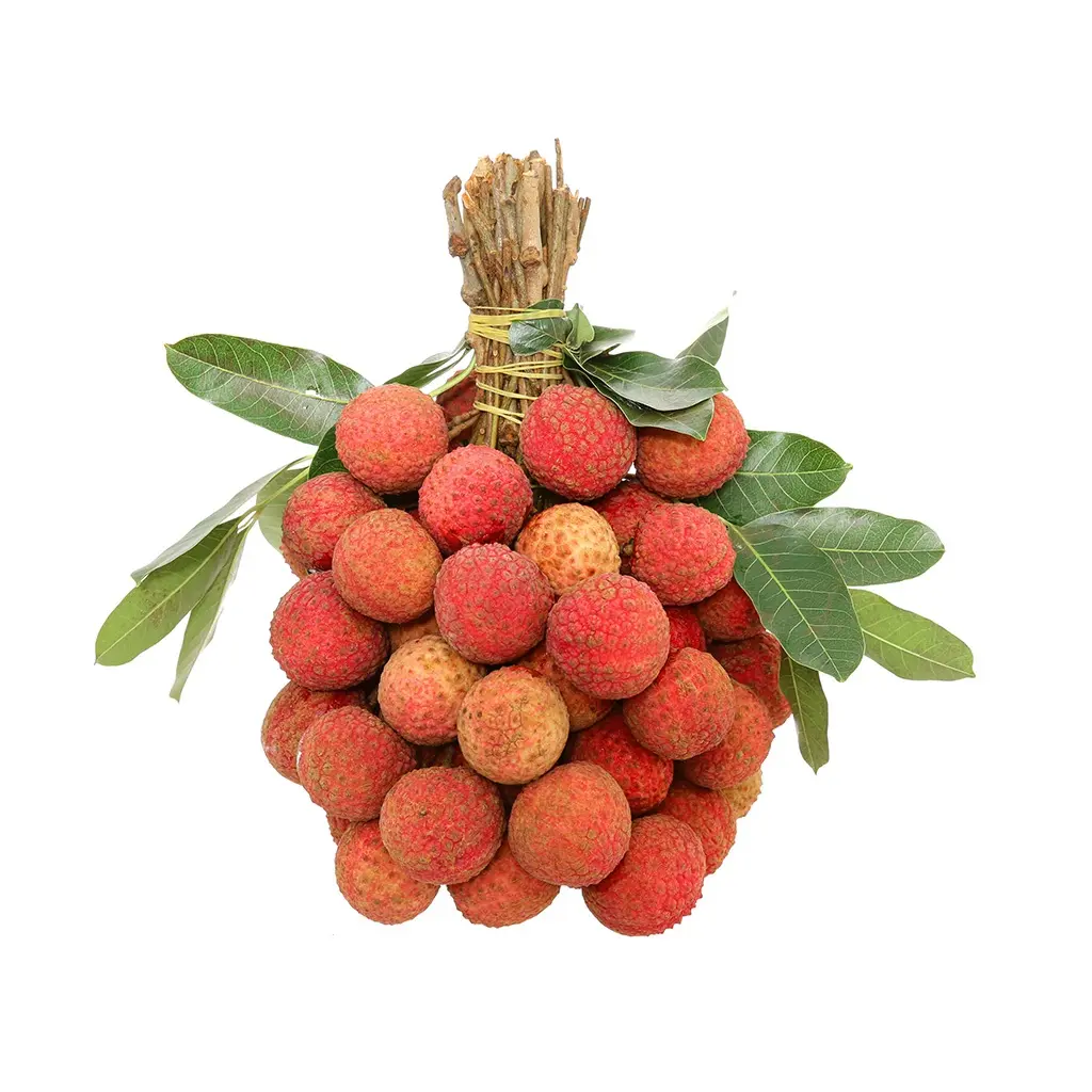 Tropical and sub-tropical Fresh Fruit Green brow white flesh Fresh lychee Lichee From Vietnam For Export