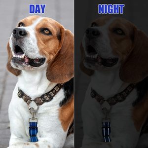 Có thể điều chỉnh prong đôi đã kết thúc sao lưu Pet Dog an toàn cổ áo sao lưu clip Clasp Dây Xích Kẹp Clip nối tím cho chó khai thác - Product Image 6