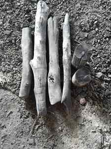 CHARBON DE BOIS BLANC PAR BIWOOD COMPANY VIETNAM, TAILLE DE VARIÉTÉ, BEAU CHARBON DE BOIS POUR BBQ, PRÊT À EXPORTER - Product Image 6