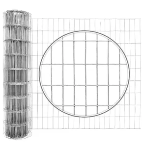Factory Customized High Tensile 16 Gauge Galvanized Welded Wire Mesh Size 2 inch x 4 inch Poultry Net
