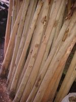 Juguete de madera de teca o eucalipto, hecho en Bali, Japón, instrumento musical original