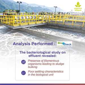 Traitement des effluents dans le projet de raffinerie de pétrole - Product Image 4