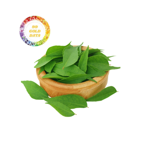 Hojas de Curry Secas de Primera Calidad a Granel, Bajo Precio, Alta Pureza, Frescas, con Precios Competitivos - Product Image 2