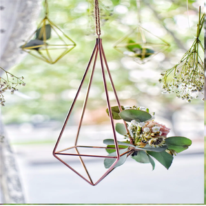 Large geometric black-framed terrarium, layered soil, and decorative <b>stones</b>; enclosed garden. Available at wholesale prices. - Product Image 6
