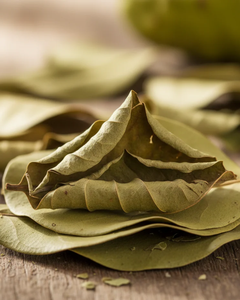 Feuilles de corossol séchées entières pour la transformation en tisane - Product Image 3