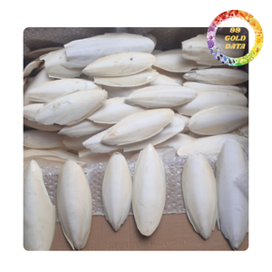 Os de seiche séché de qualité supérieure pour oiseaux de compagnie et reptiles | Vente en gros OEM du Vietnam - Product Image 3