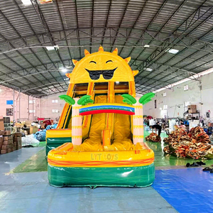 Château Gonflable Aquatique avec Toboggan et Piscine – Idéal pour Fêtes d'Enfants, Location Commerciale et Aire de Jeux Extérieure - Product Image 1