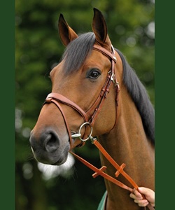 Snaffle Brida Precio barato Venta al por mayor Nueva tendencia Estilo de moda Último diseño Brida de cuero de caballo de alta calidad - Product Image 2