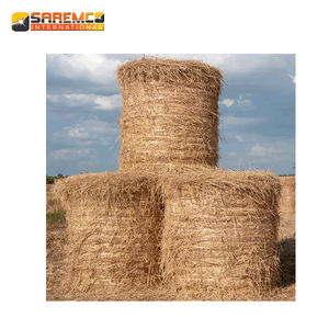 Export <b>of</b> Rice <b>Straw</b> on Wholesale Prices for Middle East Countries & Gulf Region - Product Image 1