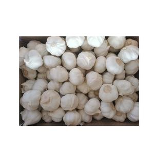 Ajo pelado blanco fresco 2025 para uso alimentario - Product Image 5