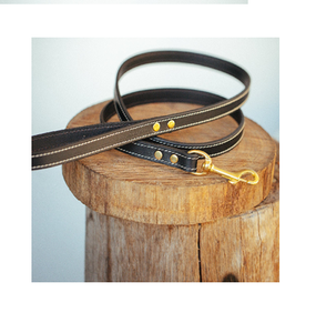 Correa de perro Rancher, negra - Product Image 5