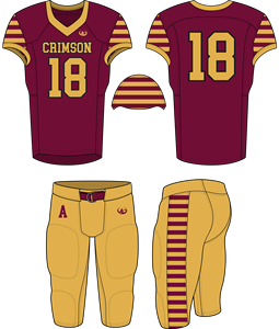 Maillots de football américain personnalisés Uniformes de football américain personnalisés Jerser Wear pour hommes et femmes - Product Image 3