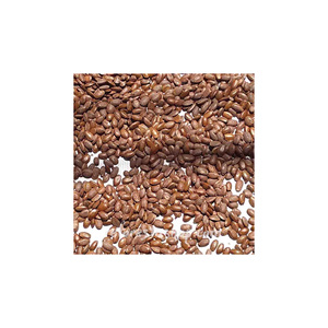 Graines de corossol emballées pour expédition aux acheteurs mondiaux et aux fabricants de médicaments naturels - Product Image 2