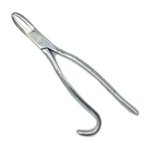 Forceps à molaires équines, équipement vétérinaire, instruments vétérinaires, forceps à molaires équines en acier inoxydable par ARMANDIOUS - Product Image 5