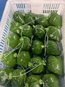 Feuilles de manioc congelées Norme d'exportation Feuilles de qualité du Vietnam pour le marché mondial Feuilles de manioc congelées Fourniture standard d'exportation - Product Image 5