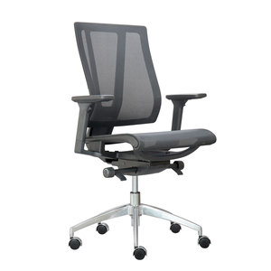 GENESIS02 Premium Office <b>Chair</b> Ergonomic Mesh Back Swivel with Aluminum Base Contemporary Lift Style for Staff for Workshops - Product Image 1