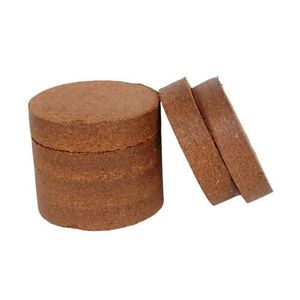 2025ต้นโกโก้แบบพรีเมี่ยมจากเวียดนาม - Product Image 2