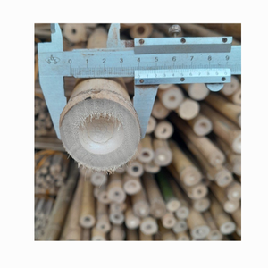 Bâtons de bambou Moso traités Piquets d'arbre en bambou droits Grands poteaux de bambou Canne Origine au Vietnam - Product Image 6