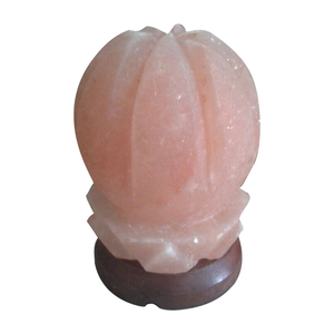 Lampe au sel rouge de l'Himalaya de forme personnalisée Base en bois de cristal de petite taille Décoration de la maison raffinée avec ampoule Cadeau - Product Image 1