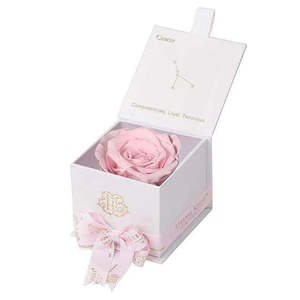Eternal Rose Astor Collection Preserved Square Gift Box for Mother's Day Valentine's Day or Wedding Gifts - Product Image 4