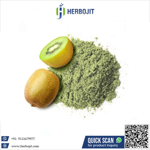 Herbojit International, fournisseur direct d'usine, extrait concentré de kiwi, de passion et de dragon fruit séché par pulvérisation, qualité supérieure - Product Image 6