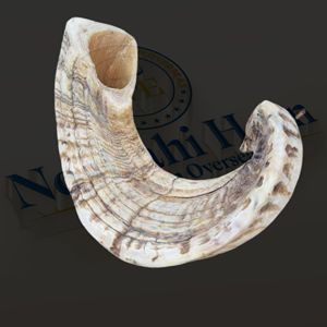 Golosinas para masticar de cuerno de carnero natural de primera calidad para perros-Artesanía de estilo animal pulido más vendida por Nhe Overseas - Product Image 5