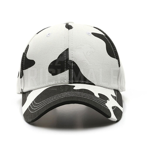 Casquette de baseball personnalisée unisexe chaque saison porter casquette de baseball bas prix nouveau Design casquette de baseball - Product Image 2