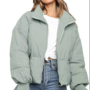 Chaqueta acolchada de invierno de gran tamaño de alta calidad para mujer, abrigo de burbujas acolchado con cremallera, Reversible cuello con capucha, lona ligera de talla grande - Product Image 1