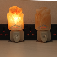 Lampe en cristal de sel de l'Himalaya JOBAK de qualité supérieure, sculptée à la main, support d'ampoule réglable en forme de fleur, lumière d'ambiance chaude Feng Shui