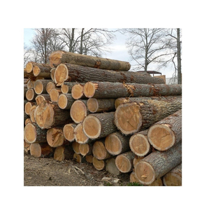 Troncos de álamo al por mayor de operaciones forestales certificadas en Europa del Este y China con cadena de custodia PEFC - Product Image 2