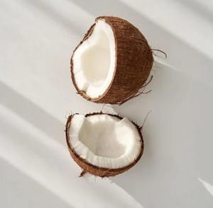 Semi cáscara de coco fresco de Farm Global Export - Product Image 3