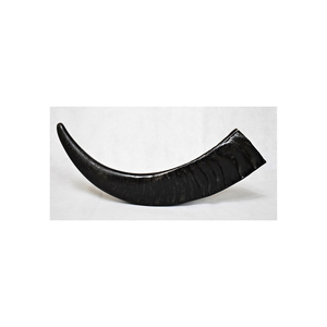 Corne de buffle naturelle conservée en lots volumineux pour la revente en gros - Product Image 5