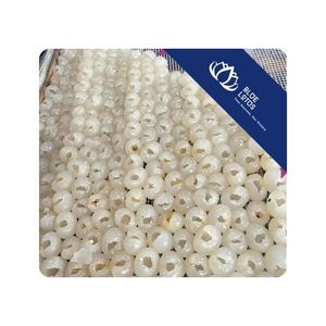 VENTE CHAUDE Longane séché Utilisé pour la fabrication de boissons, la cuisine et la préparation des aliments Pour la vente en gros en vrac Vietnam - Product Image 1