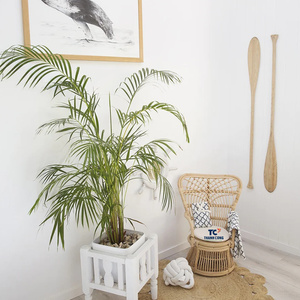 Sillas de mimbre de ratán para niños, muebles naturales para sala de estar, decoración del hogar, diseño minimalista duradero - Product Image 3