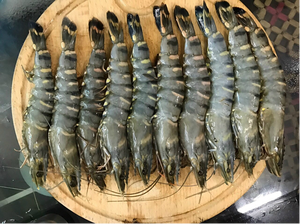 Seafood Cooked Frozen <b>Shrimps</b> Fresh Cooked Frozen <b>Shrimps</b> in Vietnam Vietnamese Cooked Frozen <b>Shrimps</b> Holiday - Product Image 3