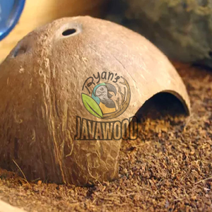 Best Quality Reptile Terrariums and Coconut Hideouts Directly From Indonesia - Product Image 5