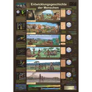 Affiche murale de l'histoire évolutionniste de l'humanité, format DIN A1, allemande - Product Image 1