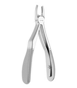 Modèle anglais Pince dentaire pour adulte et enfant Pince à dents manuelle pour la dentisterie Extraction chirurgicale Base des instruments chirurgicaux - Product Image 5